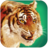 icon Talking Tiger 1.0.1