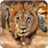 icon SavannaRace 9.0
