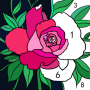 icon Daily Color