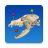 icon vet-Anatomy 4.1.2