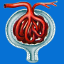 icon ru.medsoftpro.skfcalc