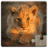 icon se.appfamily.puzzle.animalbabies.free 25.1
