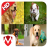 icon Dog Sounds 17.5