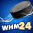 icon WHM 3.1.13
