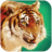 icon Talking Tiger 1.1.1