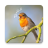 icon Sounds of birds. Songs and bird tones 1.19