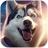 icon Husky Simulator 1.1.0