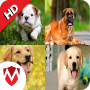 icon 50 Dog sounds