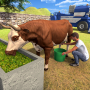 icon Farm Animal Sim