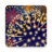 icon Funny Fireworks 2.0