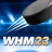 icon WHM 3.1.11