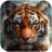 icon Talking Tiger 1.3.4