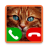 icon Fake Call Cat Game 8.0