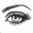 icon mirror 2.0.2