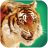 icon Talking Tiger 1.2.3