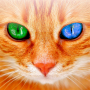 icon Cat Translator