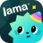 icon Lama 4.11.7