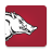 icon Arkansas Razorbacks 173.4.8