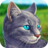 icon Cat SimulatorAnimal Life 1.0.0.4