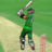 icon World Champions Cricket Games 1.0