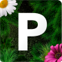 icon Pollen allergy warning Sweden