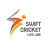 icon Swift Cricket Live Line 1.0.18